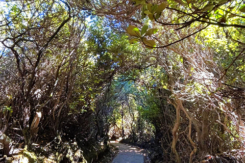 San José: Private Poás Volcano & La Paz Waterfall Experience