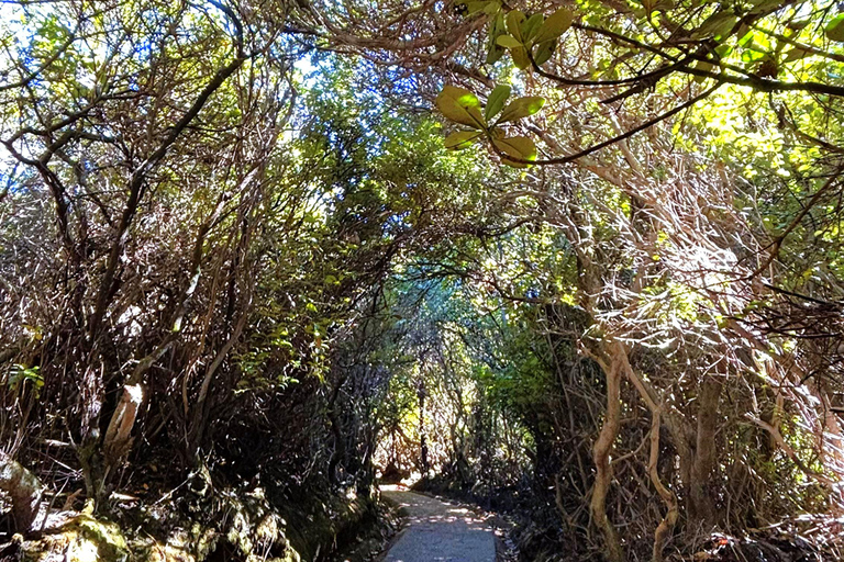 San José: Private Poás Volcano & La Paz Waterfall Experience