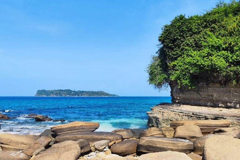 Panama City: Whale Watching Tour with Island Stop