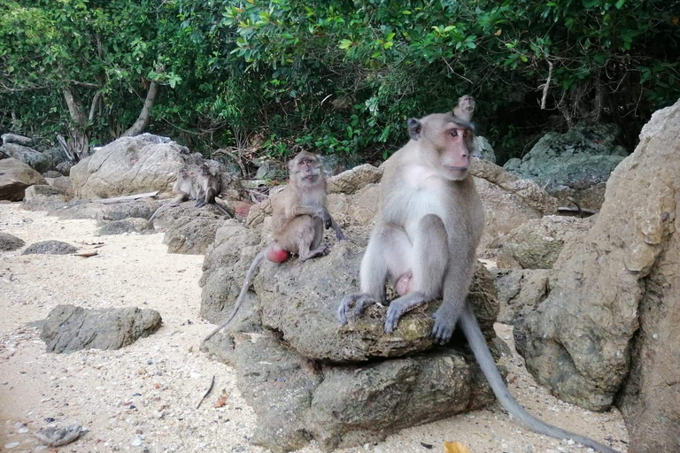 Excursión en moto acuática a las 7 islas de Phuket Incluye Traslado desde el aeropuerto5 horas de moto acuática