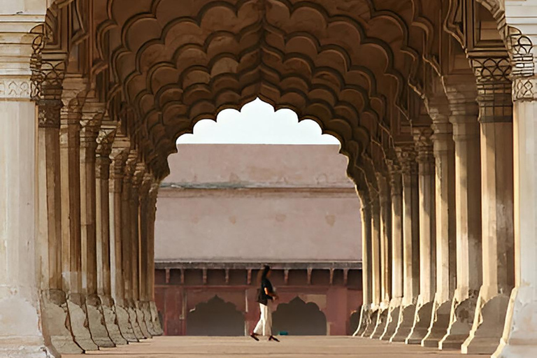 Taj Mahal, Agra Fort & Elephant Conservation Tour from Delhi All Inclusive Tour Option with Drop-off in Jaipur City