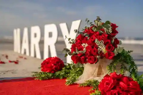 St. Augustine: Beach Proposal Experience