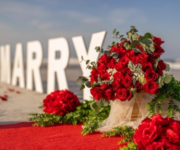 St. Augustine: Beach Proposal Experience