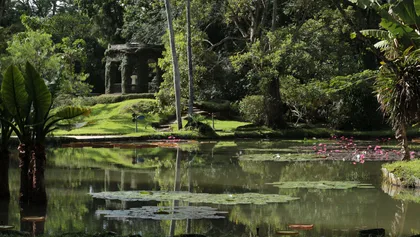 Eine Reise durch die Natur: Jardim Botânico & Tijuca Wald