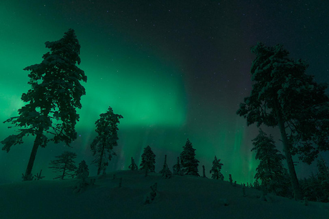 Rovaniemi: Aurora Hunt with 95% Success Rate, 4 people group Rovaniemi: Aurora Hunt with 95% Success Rate, PRIVATE