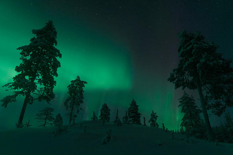 Rovaniemi: Aurora Hunt with 95% Success Rate, 4 people group Rovaniemi: Aurora Hunt with 95% Success Rate, PRIVATE