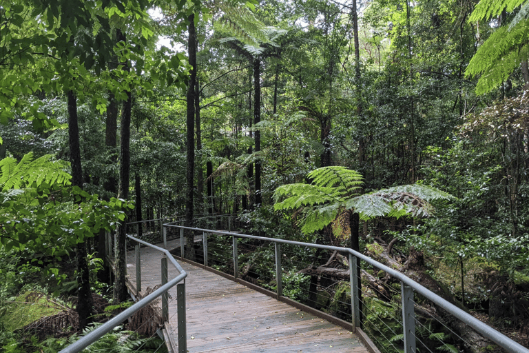 Blue Mountains Active Hike Tour from Sydney: No Rides Sydney: Blue Mountains Active Eco-Hike Tour (No Rides)