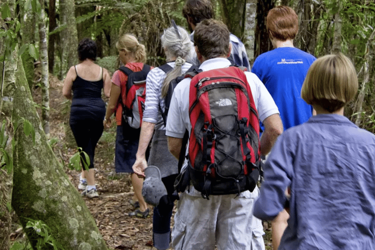 Bay of Islands: Full-Day Rainforest Hike, Lunch Included