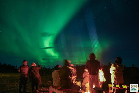 Aurora Lounge: Aurora Viewing Cabin & Bar