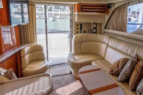 坎昆：租用Sea Ray F43游艇前往伊莎贝拉岛坎昆：海雷F43游艇租赁 - 6小时前往伊斯拉穆赫雷斯岛