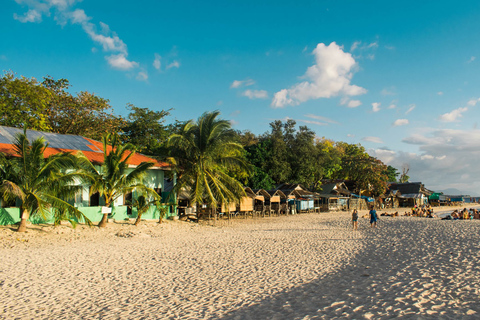 Cebu: Sardines Run & Turtle Snorkeling Adventure - Moalboal