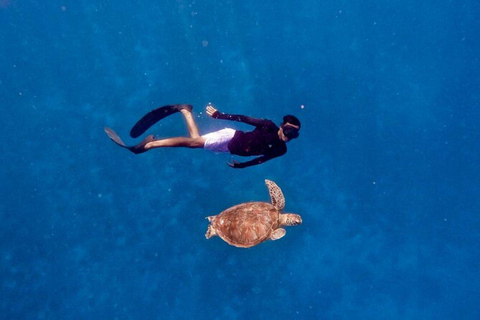 Lombok : Gili Trawangan, Meno y Aire Tour Privado de Snorkel