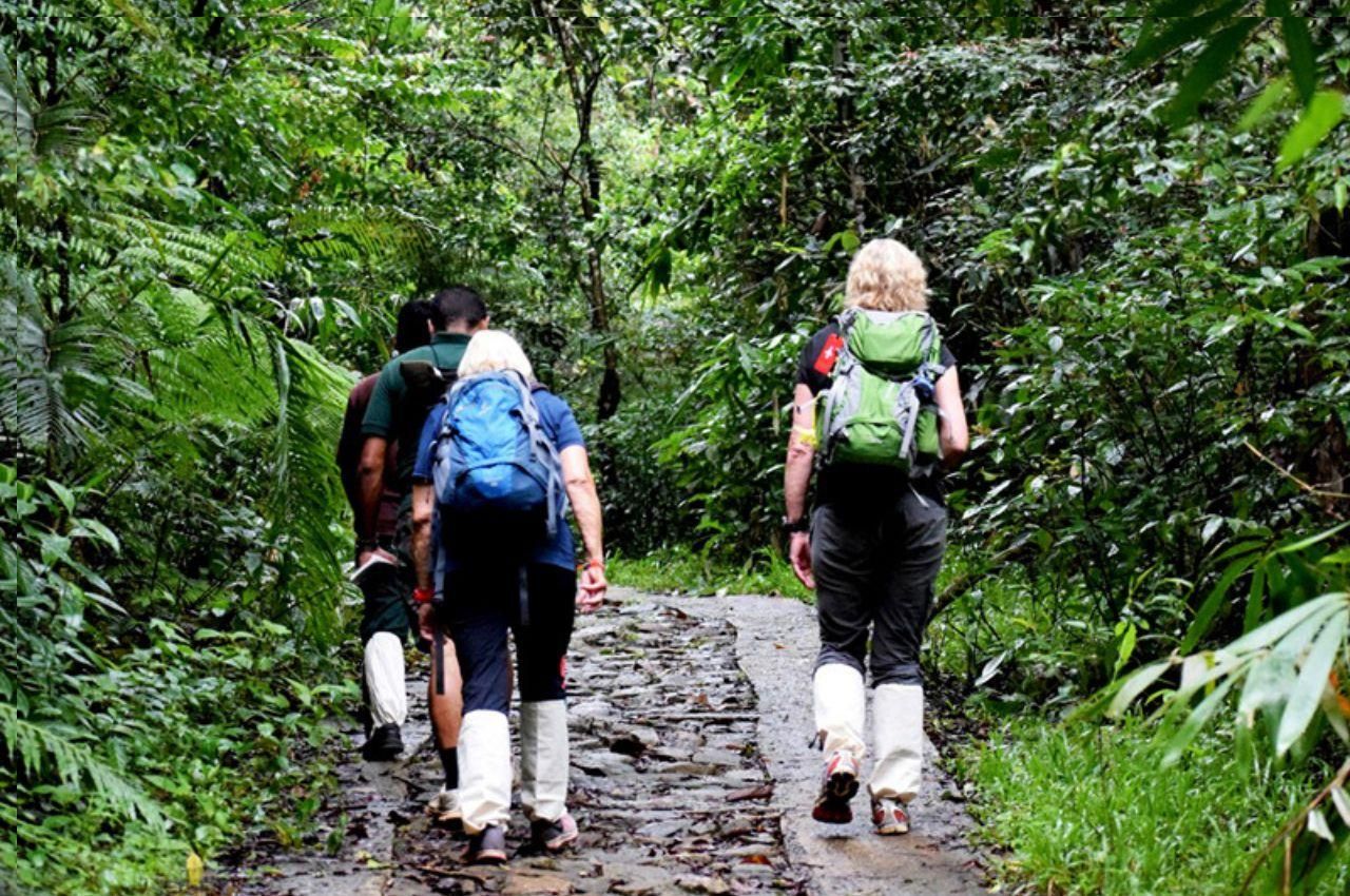 Colombo/Kalutara/Bentota: Geführte Tour durch den Sinharaja-Regenwald