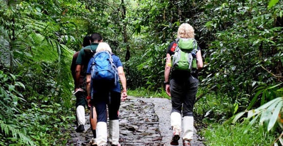 Colombo/Kalutara/Bentota: Sinharaja Rain Forest Guided Tour