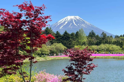 Hakone: Self Guided Trip to Mount Fuji.
