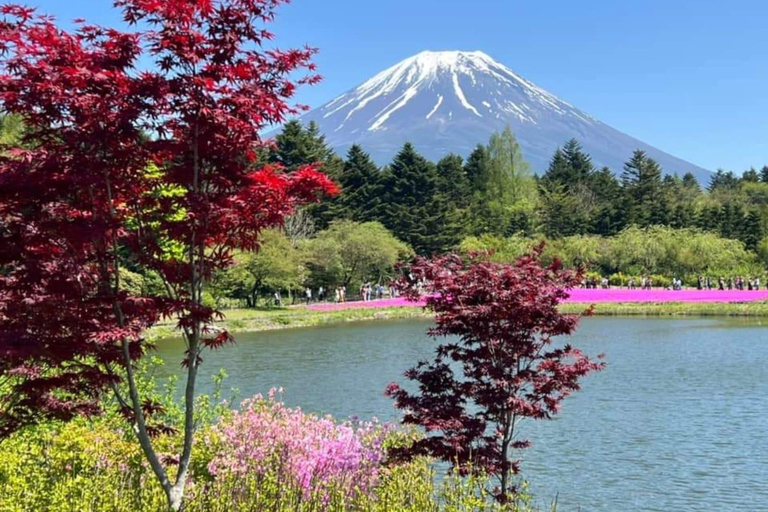 Hakone: Self Guided Trip to Mount Fuji.
