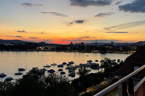 Swiss Highlights: Guided Zürich, Lucerne, Basel & Bern tour