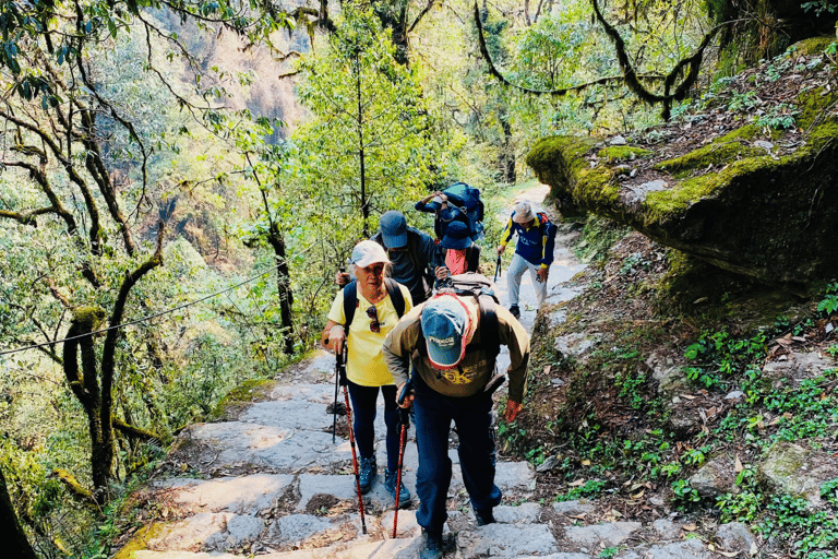 导游陪同戈雷帕尼普恩山徒步之旅戈雷帕尼-普恩山徒步之旅