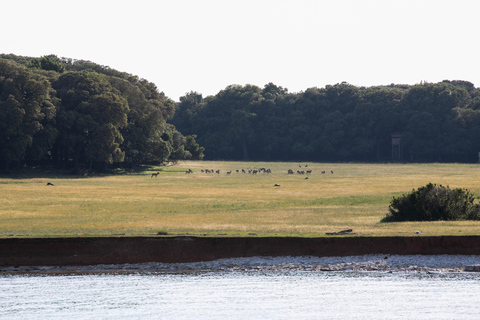 FAŽANA: BRIJUNI NATIONAL PARK PANORAMA WITH ISLAND SWIM STOP