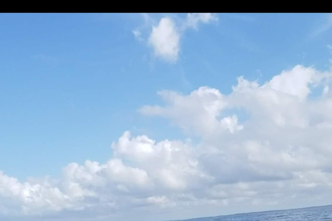 桑给巴尔：姆内姆巴岛浮潜和海豚之旅私人：姆内姆巴岛浮潜和海豚