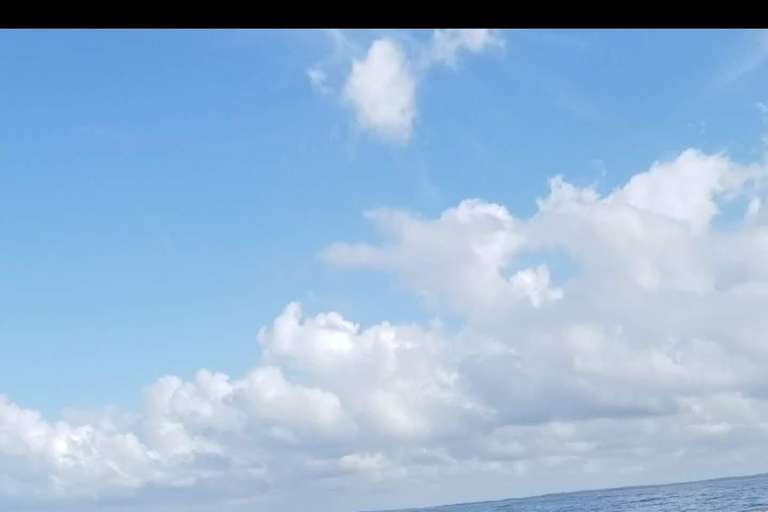 桑给巴尔：姆内姆巴岛浮潜和海豚之旅私人：姆内姆巴岛浮潜和海豚