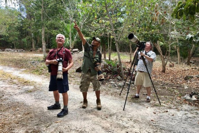 Visit Mahahual Costa Maya Birdwatching Experience in Costa Maya