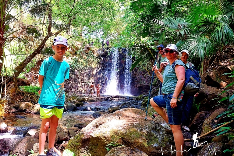 Mauritius: Wild South Coastal Waterfall and Natural Pool