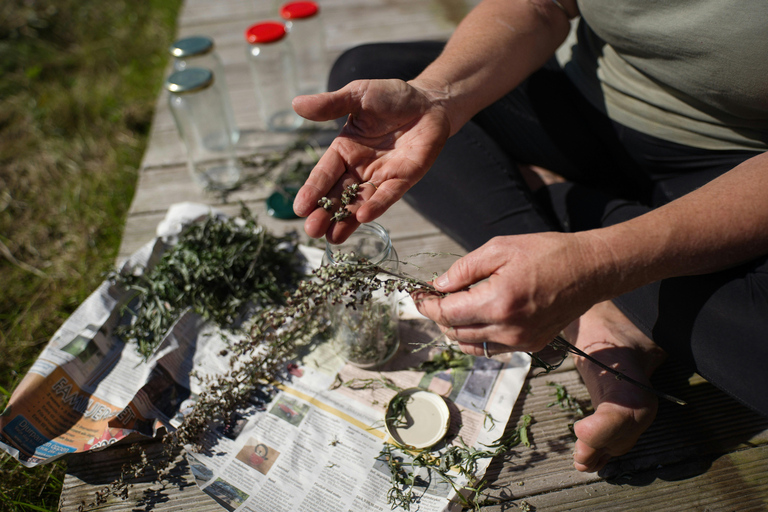 Munich: Healing Power on the Banks of the Isar - Rediscovering the Knowledge of Wild Herbs