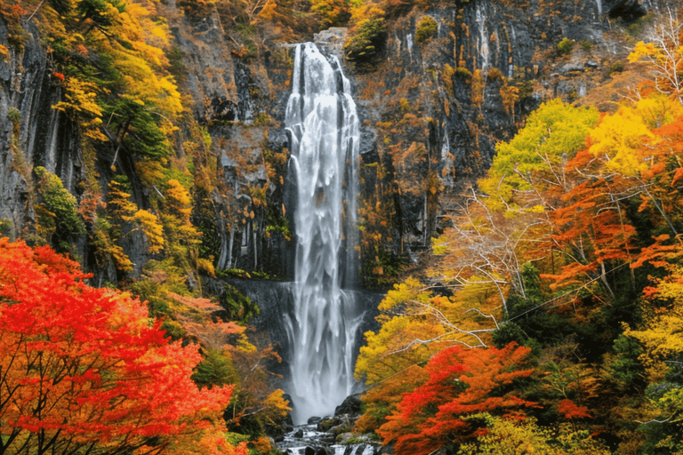 Tokyo: Nikko National Park Private Tour Hotel Pickup & Drop