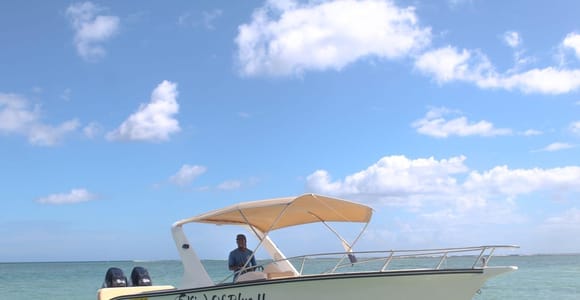 La Preneuse: Dolphin Watching and Snorkeling Speedboat Tour