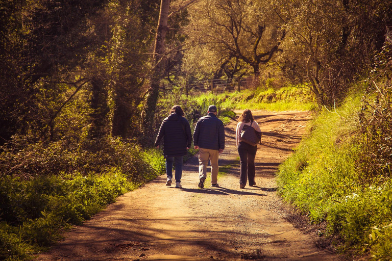 Von Sevilla aus: Ganztagestour zu den weißen Dörfern von Huelva