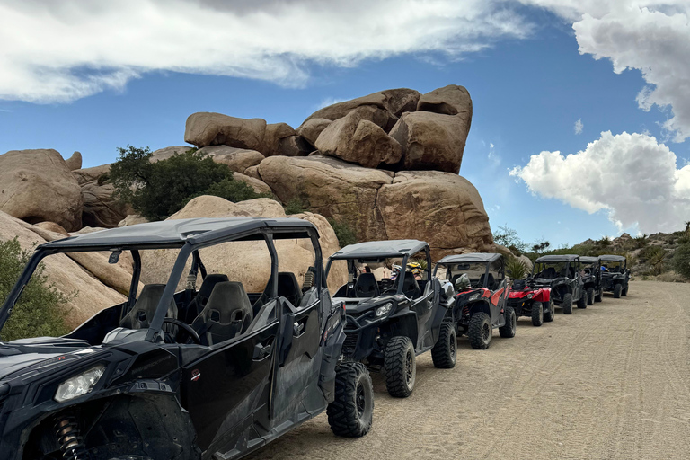 Off-Road Adventure in Las Vegas