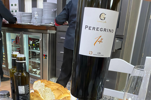 VALLADOLID - visit the city of kings with a sommelier. Art and wine.