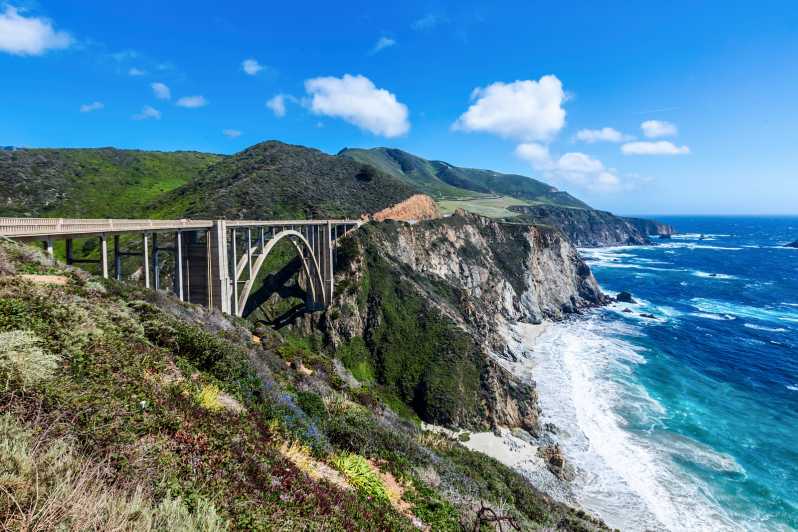 Big Sur: Sightseeing Tour with 4 to 5 Stops