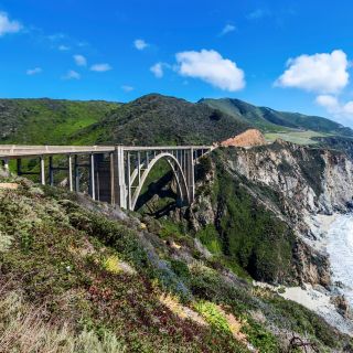 From Monterey: Big Sur Guided Half-Day Tour