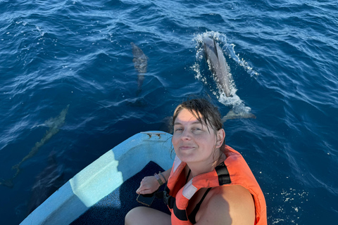 Puerto Escondido: Bootstour zu Delfinen und MeerestierenPrivate Tour