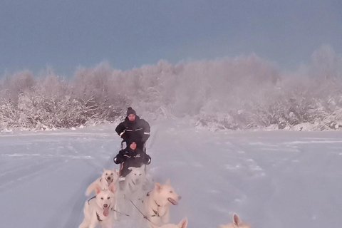 Levi: Self-Drive 2 KM Husky Sledding Experience