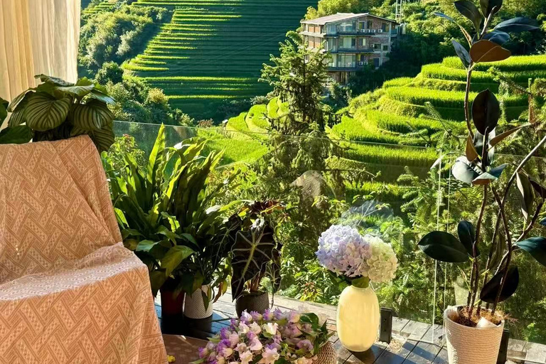 Guizhou: Longji Rice Terraces Tickets