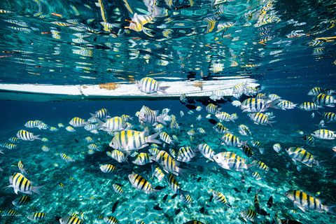 Esperienza di snorkeling in barca 5 in 1 a Cancun