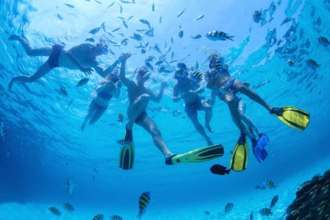 Cebu City: Nalusuan and Hilutungan Snorkel Cruise with Lunch