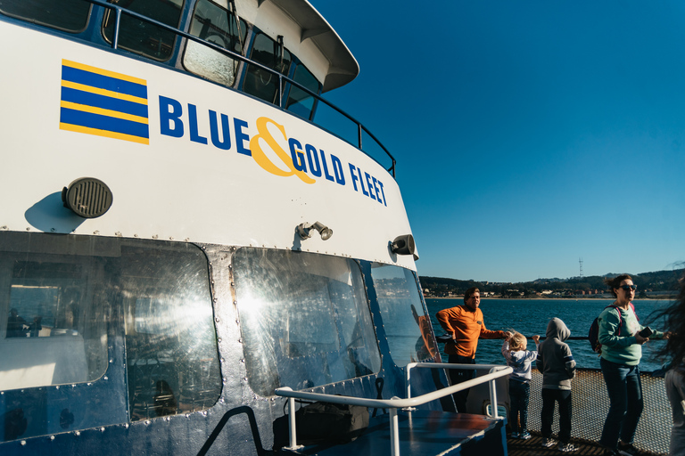 San Francisco : Coupe-file : 1 heure de croisière dans la baie en bateauSan Francisco : croisière d&#039;1 h dans la baie