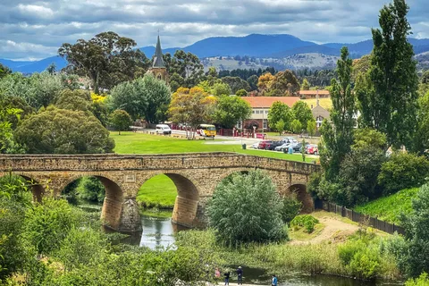 Bonorong Wildlife Sanctuary Tour halve dag vanuit Hobart