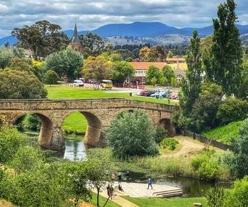 Bonorong Wildlife Sanctuary Half-Day Tour from Hobart