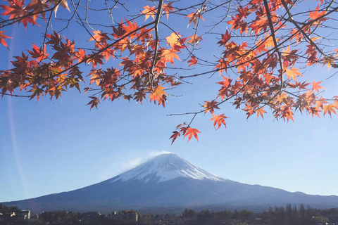 Tokyo: Fuji-berget Fuji-berget &amp; Pagodtemplet Dagsutflykt med lägsta pris