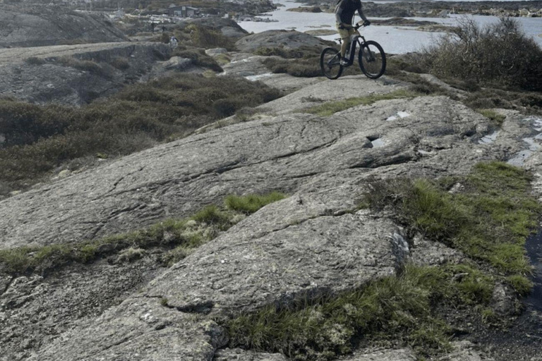 Stora Höga: Bike and E-Bike Rental Experience EMTB and premium bike