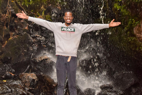 Kenya: la più lunga avventura in zipline in Africa a The Forest.