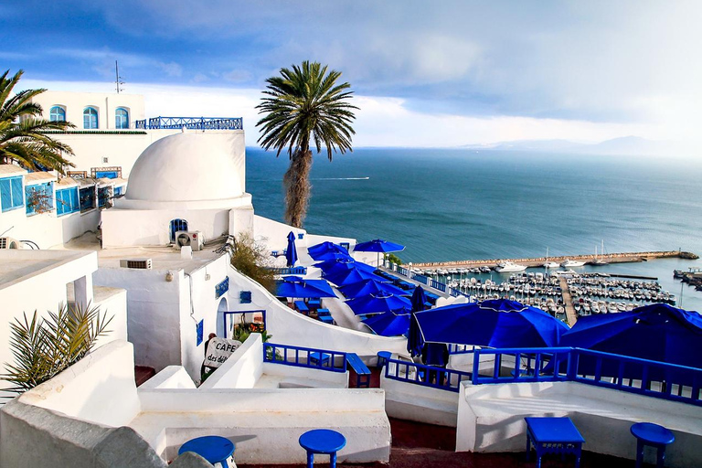 Must-See Highlights of Tunis : A full-Day Tour