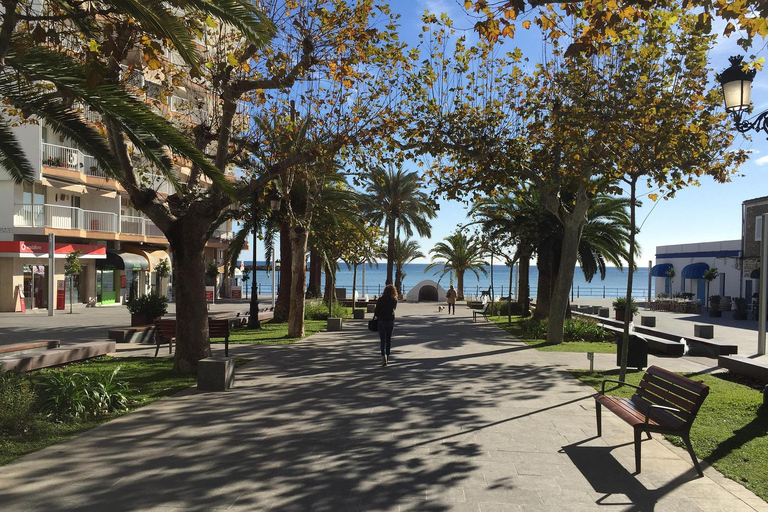 Sun, Sea & Stories: Private Ibiza Walking Tour