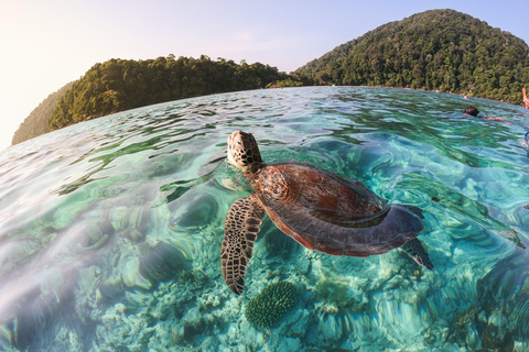 Khao Lak: Tour di snorkeling delle isole Surin con il villaggio Moken