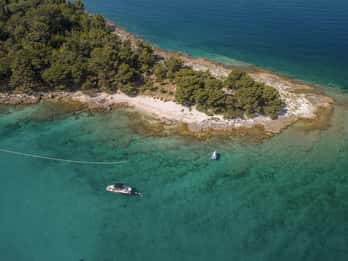 Rovinj ou Vrsar : Excursion en bateau rapide sur les îles de Rovinj et le fjord de Lim